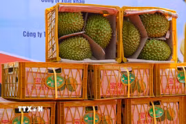 (Ảnh minh họa. Nguồn: TTXVN)