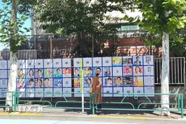 Một cử tri đọc giới thiệu các ứng cử viên tại khu vực bầu cử của mình. (Ảnh: Nguyễn Tuyến/TTXVN)