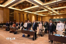 Hội nghị chung ASOSAI-ARABOSAI. (Ảnh: TTXVN phát)