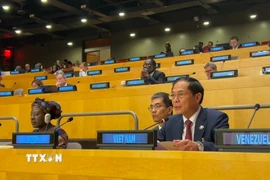 Phó Thủ tướng Chính phủ Bùi Thanh Sơn phát biểu tại hội nghị. (Ảnh: Thanh Tuấn/TTXVN)