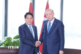 Chủ tịch nước Lương Cường gặp Tổng thống Thổ Nhĩ Kỳ Recep Tayyip Erdogan. (Ảnh: Lâm Khánh/TTXVN)