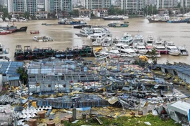 Bão Kajiki quét qua một bến du thuyền quốc tế tại Tam Á, tỉnh Hải Nam, Trung Quốc. (Nguồn: Xinhua)