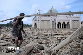 Lũ lụt và lở đất do mưa lớn tại Aceh, Indonesia ngày 10/12/2025. (Ảnh: THX/TTXVN)