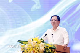 Phó Thủ tướng Chính phủ Hồ Quốc Dũng phát biểu chỉ đạo tại hội nghị. (Ảnh: Tạ Toàn/TTXVN)