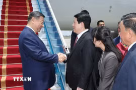 Đồng chí Lương Cường, Ủy viên Bộ Chính trị, Chủ tịch nước Cộng hòa xã hội chủ nghĩa Việt Nam đón Tổng Bí thư, Chủ tịch nước Trung Quốc Tập Cận Bình tại Sân bay quốc tế Nội Bài. (Ảnh: Lâm Khánh/TTXVN) 