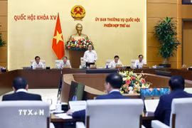 Chủ tịch Quốc hội Trần Thanh Mẫn phát biểu khai mạc Phiên họp. (Ảnh: Doãn Tấn/TTXVN)