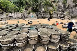 Tang vật tịch thu của các hộ nuôi trái phép trên Vịnh Hạ Long. (Ảnh: TTXVN phát)