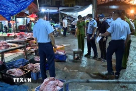 Lực lượng chức năng phát hiện và triệt phá đường dây giết mổ, tiêu thụ thịt lợn nhiễm bệnh ra thị trường. (Ảnh: TTXVN phát)