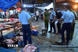 Lực lượng chức năng phát hiện và triệt phá đường dây giết mổ, tiêu thụ thịt lợn nhiễm bệnh ra thị trường. (Ảnh: TTXVN phát)