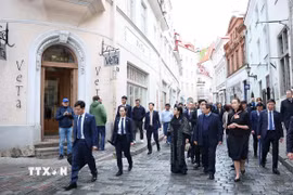 Thủ tướng Phạm Minh Chính cùng Phu nhân tham quan không gian, kiến trúc, lịch sử khu phố cổ Tallinn. (Ảnh: Dương Giang/TTXVN)