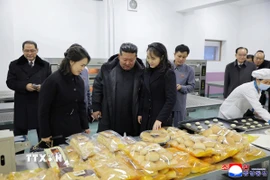 Nhà lãnh đạo Triều Tiên Kim Jong Un (giữa) tham quan khu phức hợp công nghiệp ở huyện Kangdong, ngoại ô Bình Nhưỡng. (Ảnh: Yonhap/TTXVN)