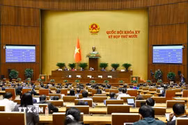 Quốc hội biểu quyết thông qua Nghị quyết phê duyệt chủ trương đầu tư Chương trình mục tiêu quốc gia về nông thôn mới, giảm nghèo bền vững và phát triển kinh tế-xã hội vùng đồng bào dân tộc thiểu số và miền núi giai đoạn 2026-2035. (Ảnh: Doãn Tấn/TTXVN)