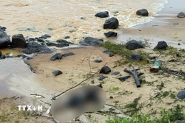 Một thi thể trôi dạt vào bờ biển. Ảnh minh họa. (Ảnh: TTXVN phát)