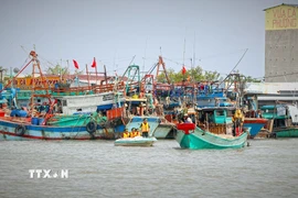 Lực lượng chức năng đến từng tàu thuyền tuyên truyền nhằm nâng cao nhận thức của cộng động ngư dân về gỡ thẻ vàng IUU. (Ảnh: Huỳnh Anh/TTXVN)
