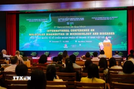 Quang cảnh Hội thảo. (Ảnh: Sỹ Thắng/TTXVN)