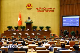 Quốc hội biểu quyết thông qua Luật Đầu tư (sửa đổi). (Ảnh: Doãn Tấn/TTXVN)