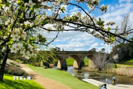 Vẻ đẹp bình yên của mùa Xuân Australia với bầu trời xanh ngắt, không khí trong lành, dễ chịu mang lại cho du khách sự thư giãn nhẹ nhàng. (Ảnh: Thanh Tú/TTXVN)