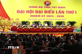 Đại biểu nhất trí thông qua chương trình Đại hội. (Ảnh: Giang Phương/TTXVN)