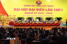 Đại biểu nhất trí thông qua chương trình Đại hội. (Ảnh: Giang Phương/TTXVN)