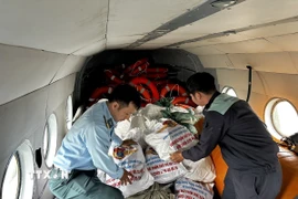 Cán bộ, chiến sỹ Trung đoàn Không quân 930 (Sư đoàn Không quân 372) xếp các bao tải hàng cứu trợ lên máy bay trực thăng để chuyển đến cho người dân đang bị nước lũ bao vây cô lập tại các tỉnh Nam Trung Bộ. (Ảnh: Trần Lê Lâm/TTXVN)