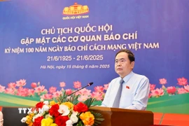 Chủ tịch Quốc hội Trần Thanh Mẫn phát biểu tại cuộc gặp mặt lãnh đạo các cơ quan báo chí. (Ảnh: Doãn Tấn/TTXVN)