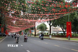 Lá cờ Tổ Quốc tô sắc trên khắp các tuyến đường của tỉnh Đắk Lắk. (Ảnh: Nguyên Dung/TTXVN)