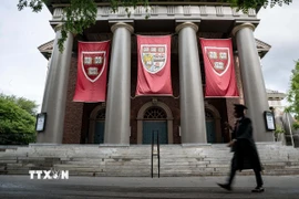 Khuôn viên Đại học Harvard tại Cambridge, Massachusetts, Mỹ. (Ảnh: THX/TTXVN)