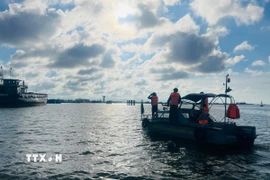 Kêu gọi tàu thuyền vào bờ tránh trú bão số 12. (Ảnh: Mai Trang/TTXVN)