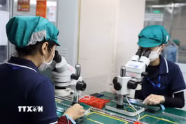 (Ảnh minh họa: Quốc Khánh/TTXVN)