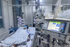 Bệnh nhi N. Đ. N. Đ. chẩn đoán sốc sốt xuất huyết dengue nặng suy đa cơ quan. (Nguồn: Bệnh viện Nhi Đồng Thành phố)