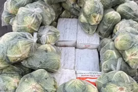 900kg ketamine và 700kg ma túy đá được chia thành nhiều kiện hàng giấu bên dưới các túi rau bắp cải chất trên thùng xe. (Nguồn: AFP)