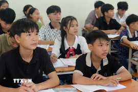 Ảnh minh hoa. (Nguồn: Bích Huệ/TTXVN)