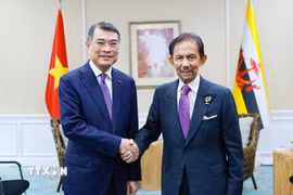 Thủ tướng Chính phủ Lê Minh Hưng gặp Quốc vương Brunei Haji Hassanal Bolkiah. (Ảnh: Dương Giang/TTXVN)