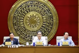 Chủ tịch Quốc hội Trần Thanh Mẫn, Trưởng ban Ban Chỉ đạo về tổng rà soát hệ thống văn bản quy phạm pháp luật, phát biểu. (Ảnh: Doãn Tấn/TTXVN)