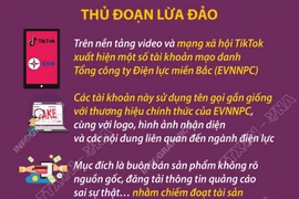 Cảnh báo mạo danh Tổng công ty Điện lực miền Bắc trên Tiktok