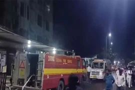 Lực lượng cứu hỏa tại hiện trường vụ cháy. (Nguồn: News Press)