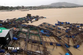 Mưa lũ gây thiệt hại nặng nề tại Đắk Lắk. (Ảnh: Phạm Kha/TTXVN)