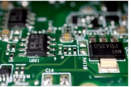 Chip bán dẫn trên một bảng mạch điện. (Ảnh: REUTERS/TTXVN)