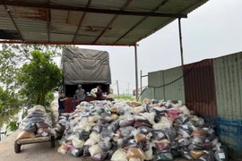 Đối tượng Nguyễn Năng Mạnh và đối tượng Phạm Thị Hường. (Ảnh: Công an cung cấp)