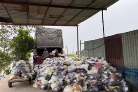 Đối tượng Nguyễn Năng Mạnh và đối tượng Phạm Thị Hường. (Ảnh: Công an cung cấp)