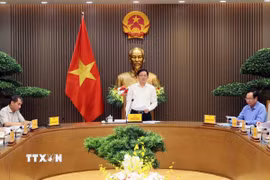 Phó Thủ tướng Hồ Quốc Dũng phát biểu. (Ảnh: An Đăng/TTXVN)