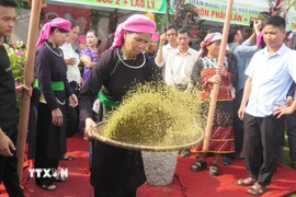 Phụ nữ Tày xã Hợp Thành sàng cốm - công đoạn không thể thiếu trong quá trình làm cốm. (Ảnh: Hương Thu/TTXVN)