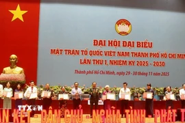 Tuyên dương các cá nhân điển hình trong phong trào thi đua yêu nước. (Ảnh: Huyền Trang/TTXVN)