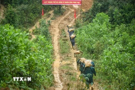 Cán bộ, chiến sỹ Khu vực phòng thủ 5 Điện Bàn, Bộ Chỉ huy Quân sự thành phố Đà Nẵng, vác gạch lên đồi để xây khu tái định cư cho người dân tại xã Trà Leng, thành phố Đà Nẵng. (Ảnh: Đỗ Trưởng/TTXVN)