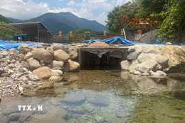 Đập bêtông kiên cố cao gần 1m ngăn dòng chảy của con suối Khe Su. (Ảnh: Văn Dũng/TTXVN)