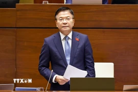 Phó Thủ tướng Chính phủ Lê Thành Long phát biểu giải trình, làm rõ một số vấn đề đại biểu Quốc hội nêu. (Ảnh: Doãn Tấn/TTXVN)