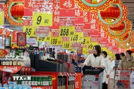 Phụ nữ sẽ kiểm soát 75% chi tiêu xã hội trong 5 năm tới. (Ảnh: THX/TTXVN)