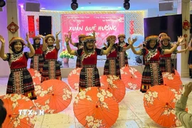 Hoạt động văn hóa, văn nghệ cộng đồng tại "Xuân Quê hương - Bính Ngọ 2026." (Ảnh: TTXVN phát)