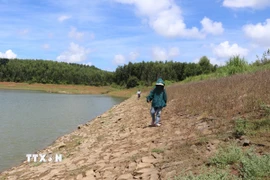 Kè đá hồ Phượng Hoàng (xã Đông Sơn) bị bong tróc, mất liên kết, tiềm ẩn nguy cơ vỡ đập rất cao. (Ảnh: Đinh Hương/TTXVN)