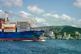 Một tàu container trên eo biển Bosphorus ở Istanbul. (Nguồn: Bloomberg)